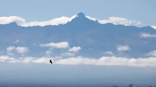 A bird flies in front of Mount Kenya on the horizon in Laikipia national park, Kenya.
