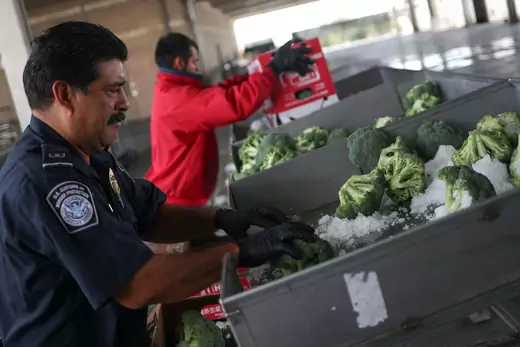 A U.S. Customs and Border Control official checks imported broccoli from Mexico at a port of entry in Pharr, Texas.