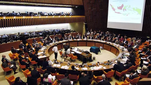 The World Health Organization leads a global meeting on influenza at its headquarters in Geneva in November 2005.