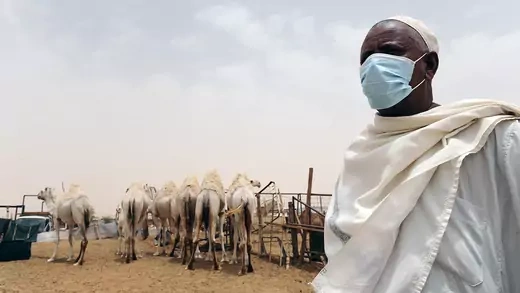 A man wears a mask near camels at his farm outside Riyadh, Saudi Arabia, in May 2014.