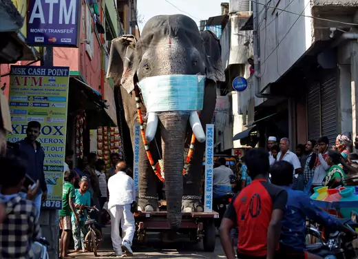 A life-size elephant statue with a face mask on a wheeled platform faces the camera through a narrow street.
