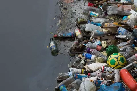 Plastic waste along a shoreline. 
