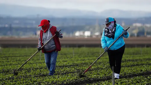 An image of two female farmworkers dressed head to toe in baseball hats, jackets, long pants, and gloves. They are using handheld tools to clean a verdant field as mountains loom in the background. 