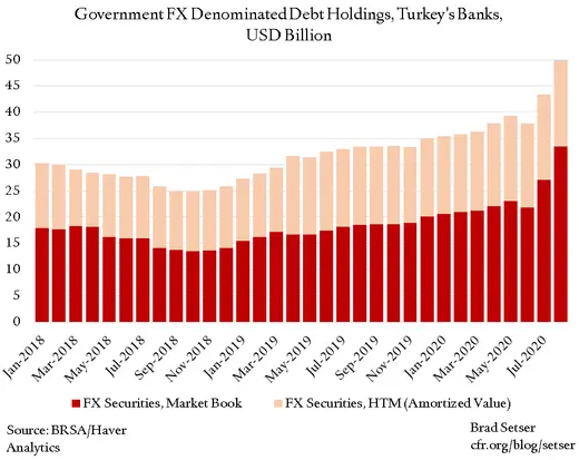 Government FX Denominated Debt Holdings