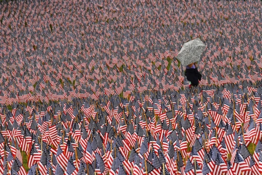 Person walking through field of American flags.