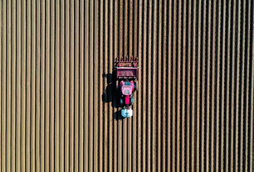 A farmer drives a tractor in his field while planting potatoes.
