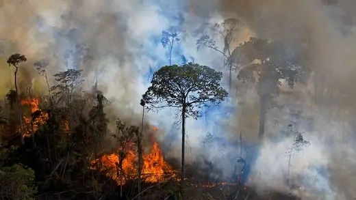 An illegally lit fire burns in the Amazon Rainforest, south of Novo Progresso in Para State, Brazil, on August 15, 2020