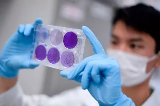 A researcher works on virus replication in order to develop a vaccine against the coronavirus COVID-19, in Belo Horizonte, state of Minas Gerais, Brazil, on March 26, 2020.