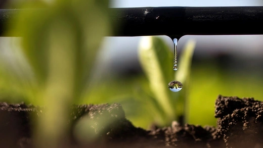 A drop of water drips from a pipe in a field