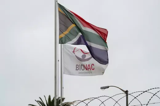 A South African flag is seen in front of a flag of Biovac, a South African public-private company. The top of barbed wiring can be seen at the bottom of the picture.