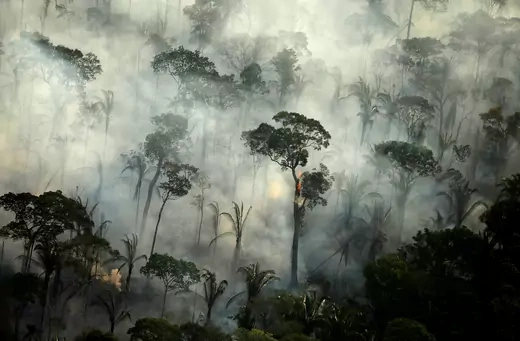 Forest fire with smoke causing deforestation