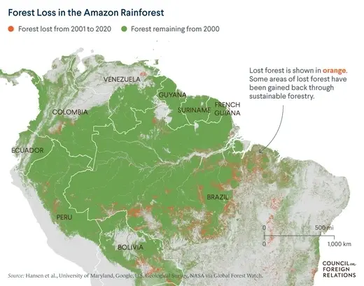 Hard Coock Fucedsex - Deforestation of Brazil's Amazon Has Reached a Record High. What's Being  Done? | Council on Foreign Relations
