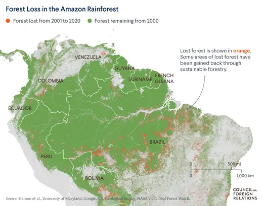 Worst-ever February rainforest data for Brazilian