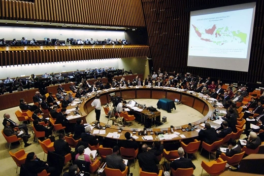 The World Health Organization leads a global meeting on influenza at its headquarters in Geneva in November 2005.
