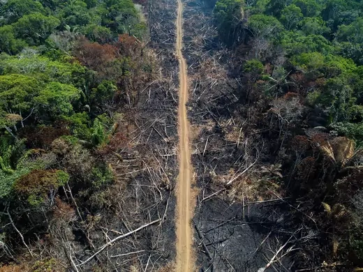 A deforested area of the rain forest near the Trans-Amazonian Highway in Brazil.