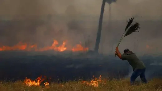 A man fights a fire on a plain with a palm frond.
