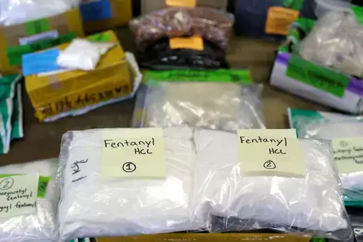 Multiple bags of fentanyl as viewed on a display table. 