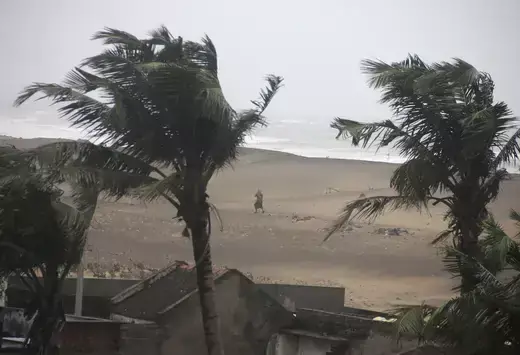 Trees as seen blowing in the strong winds from a cyclone.