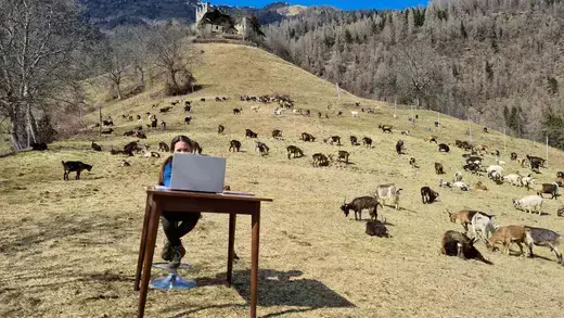 10-year-old Fiammetta attends her online lessons surrounded by her shepherd father's herd of goats in the mountains, while schools are closed due to coronavirus disease (COVID-19) restrictions, in Caldes, Italy.