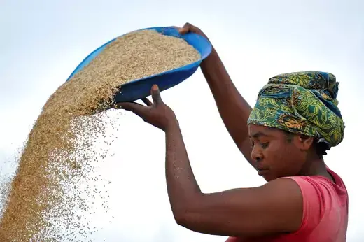 A woman works in a rice mill in Aliade community in the Gwer local government area of the central state of Benue October 4, 2012. 