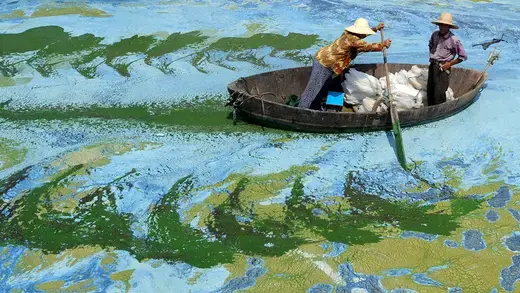 Fishermen row a boat in the algae filled Chaohu Lake in Hefei, Anhui province in China.