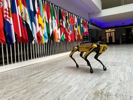 A robotic dog as viewed standing in front of a wall of flags.