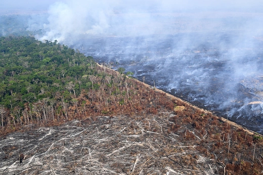 An aerial view of a section of the forest destroyed by illegal fires in Amazonas State, Brazil.