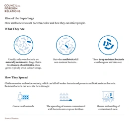 antibiotic resistance superbugs bacteria