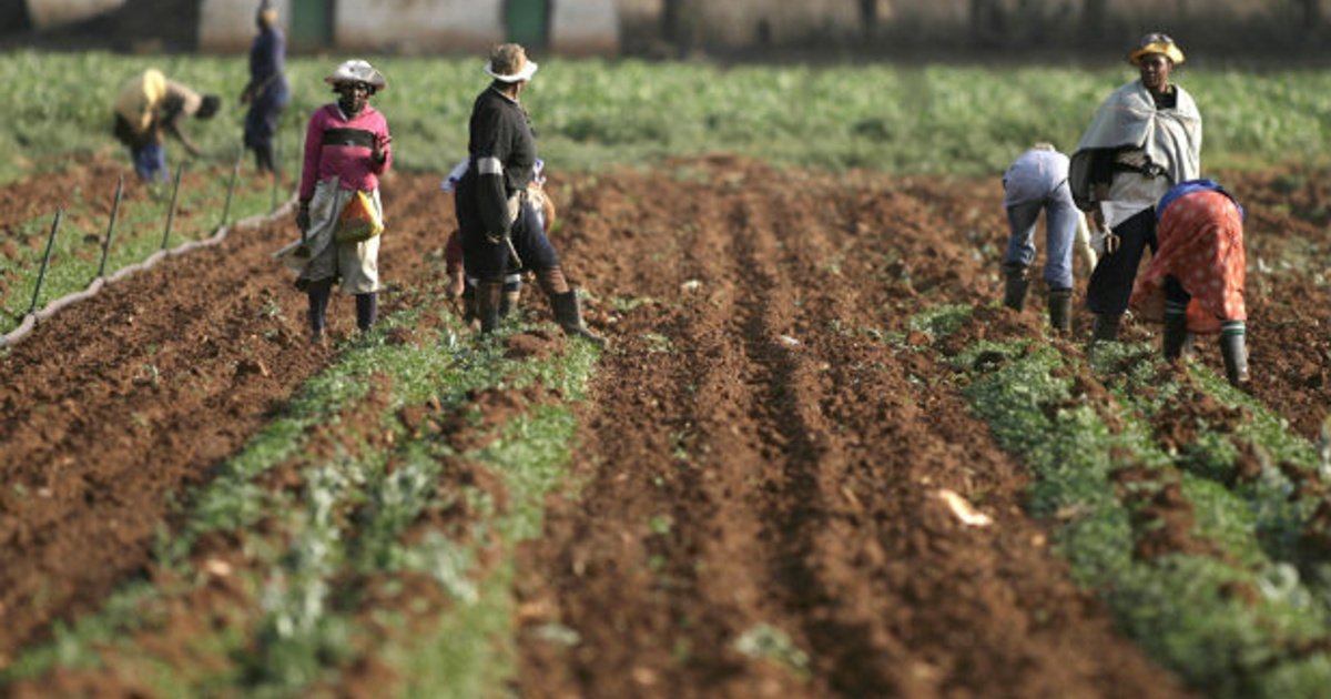 Land Issues In family