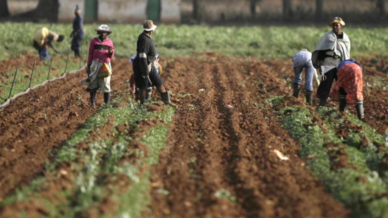 Who Owns The Land In South Africa Council On Foreign Relations