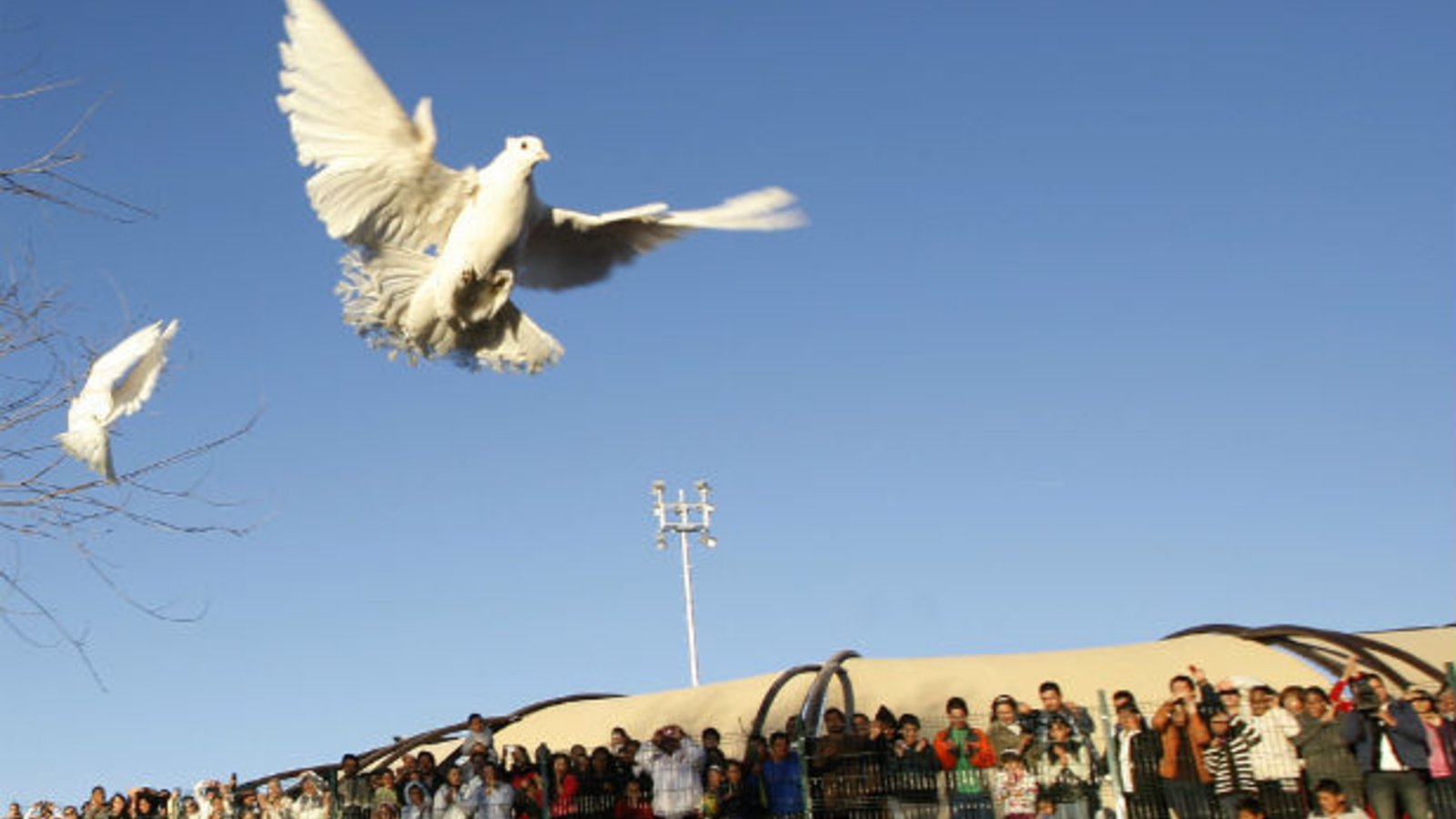 Many Stories, One Juárez Council on Foreign Relations