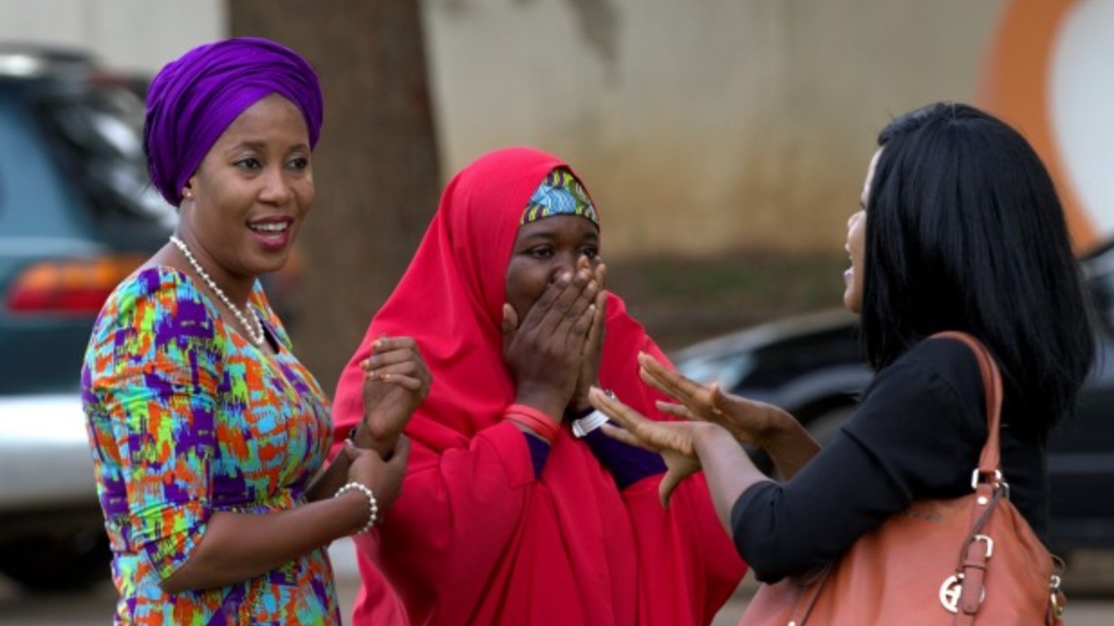 21 Nigerian Kidnapped Chibok Girls Freed | Council On Foreign Relations