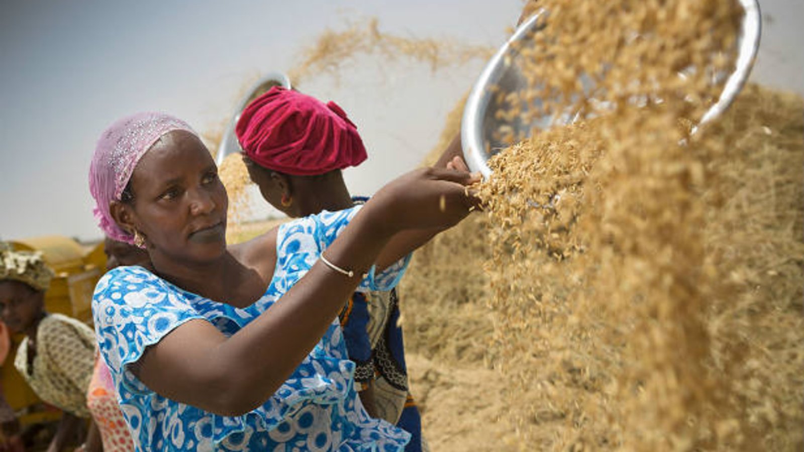 The Women Driving International Development | Council on Foreign Relations