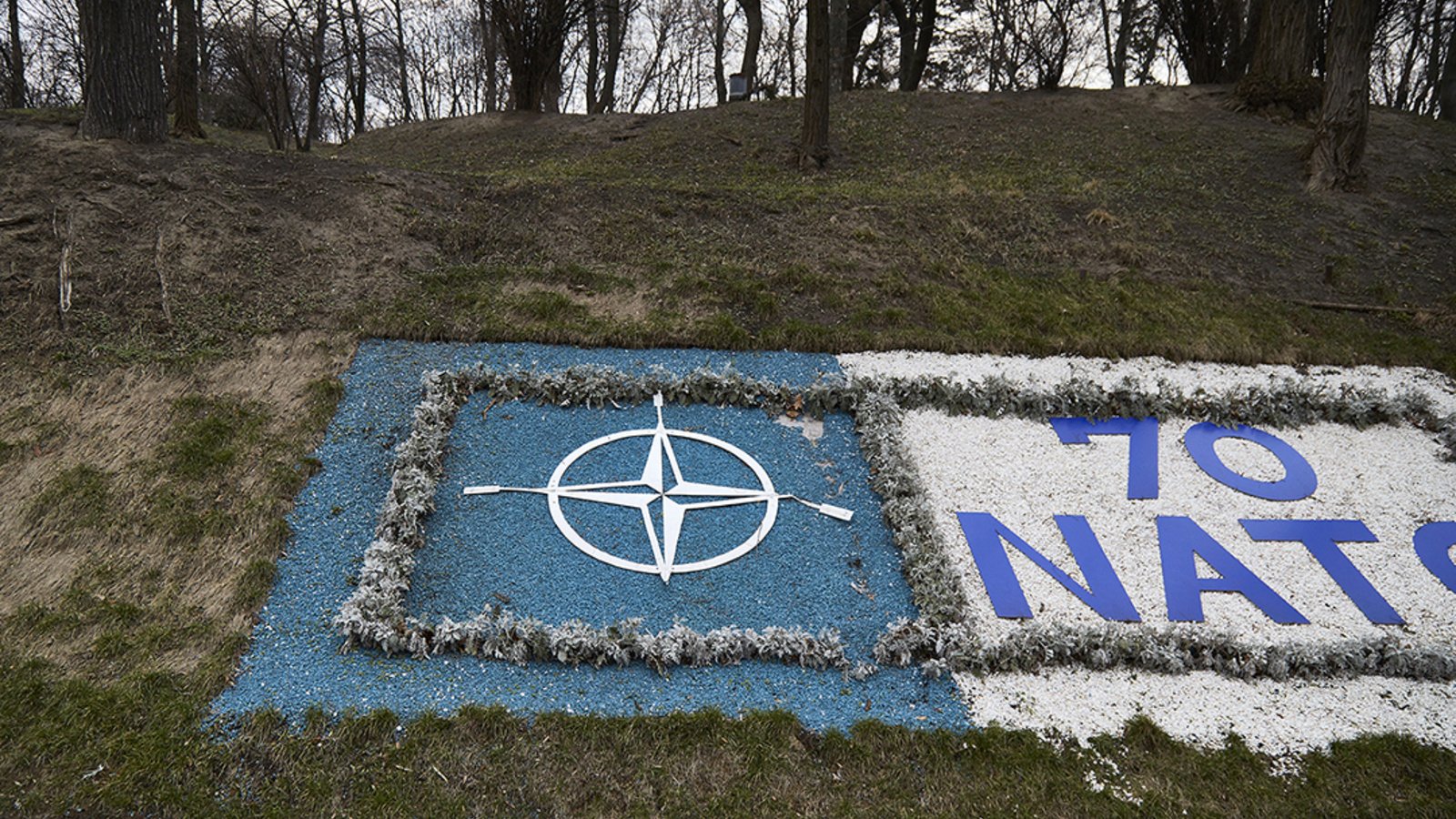 why-nato-has-become-a-flash-point-with-russia-in-ukraine-council-on