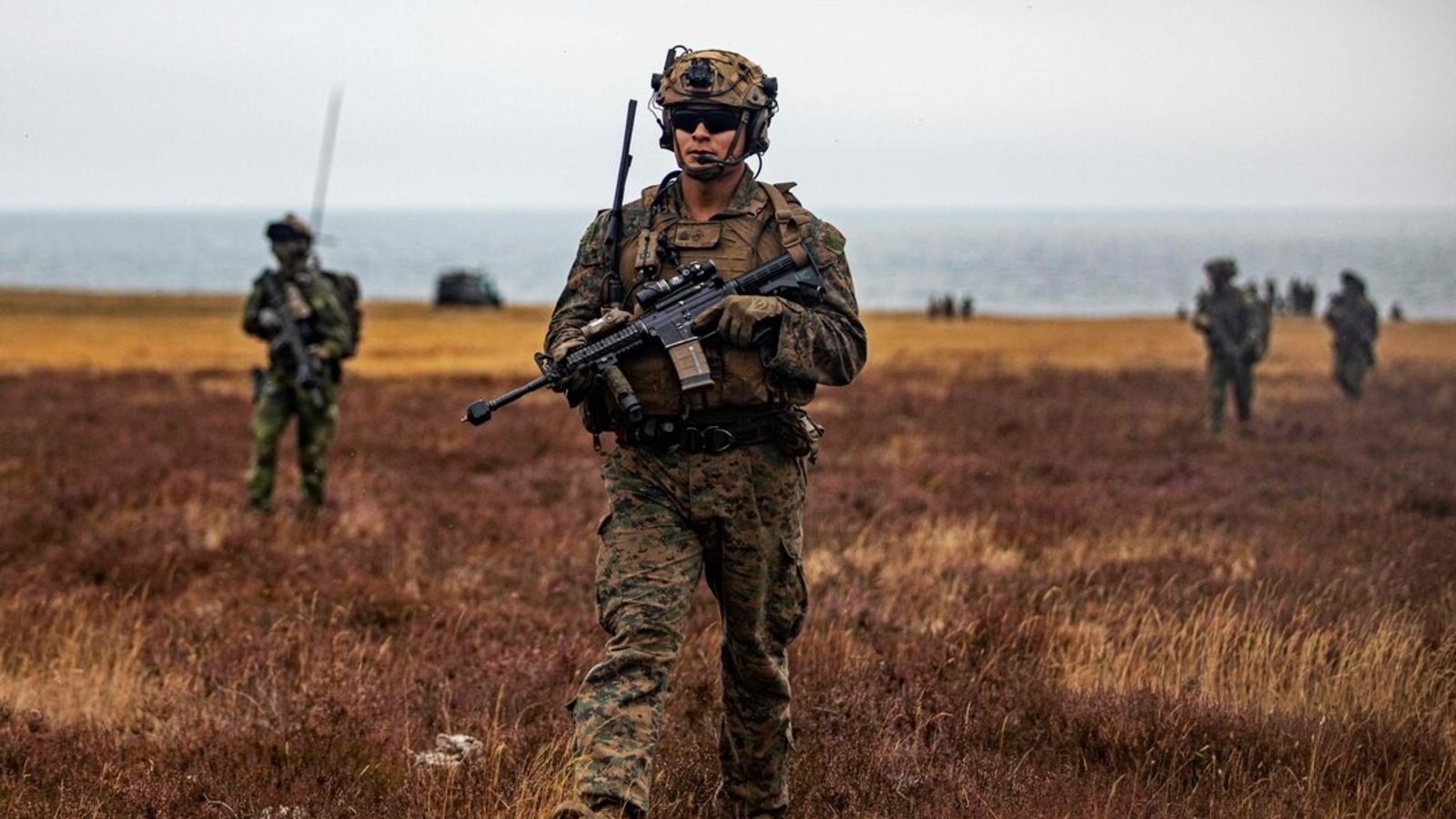 Happy 247Th Birthday To The United States Marine Corps! | Council On  Foreign Relations