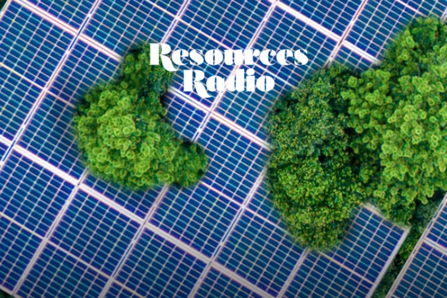 Solar Panels and trees