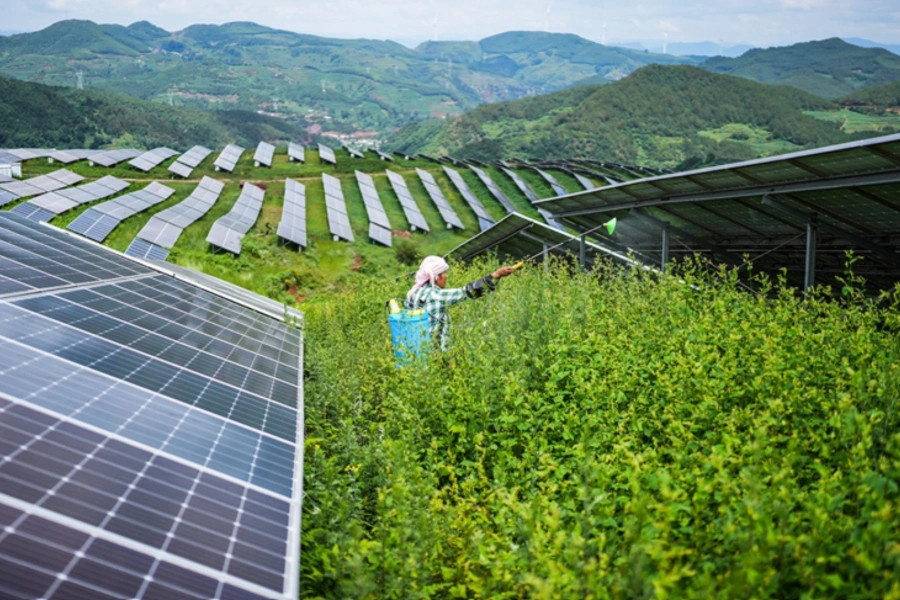 A farmer works amid photovoltaic panels at a solar power station in the Yi-Hui-Miao Autonomous County of Weining, southwest China’s Guizhou Province, July 3, 2025. Tao Liang/Xinhua/Getty Images