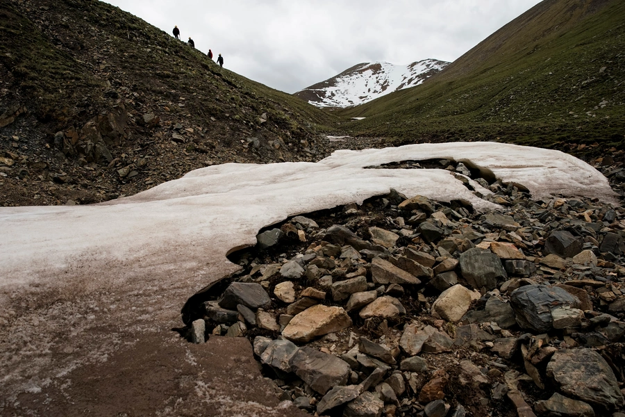 Cordyceps pickers scan the ground in search of Ophiocordyceps sinensis, a fungus believed to possess aphrodisiac and medicinal powers, in the Amne Machin range in China's western Qinghai province, June 9, 2019. REUTERS/Aly Song