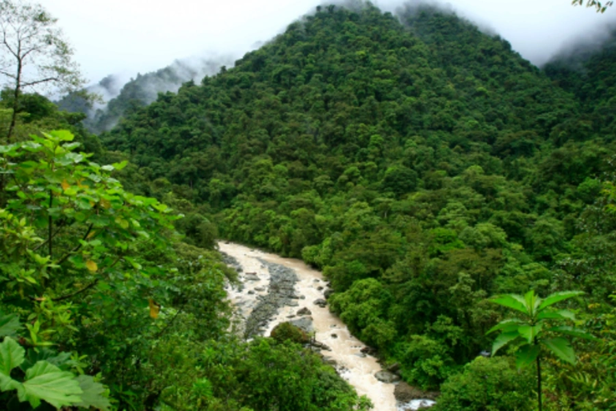 General view of the National Park Tapamti in Orosi, 80 miles (128km) of San Jose May 25, 2007. REUTERS/Juan Carlos Ulate