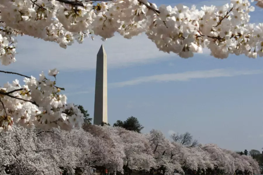 The cherry blossom trees around the Tidal Basin are in full bloom in Washington, DC. (Larry Downing/Courtesy Reuters)