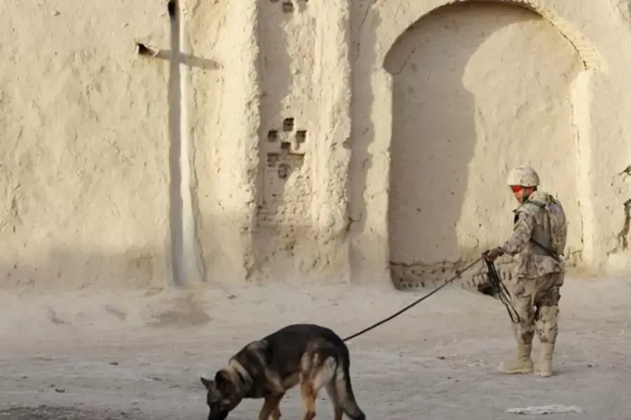 A soldier patrols with his dog in a village in southern Afghanistan (Denis Sinyakov/Courtesy Reuters).