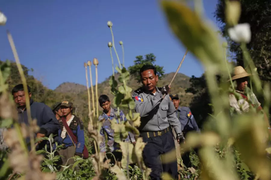 Soldiers use sticks to destroy poppy fields above the village of Ho Hwayt, in the mountains of Shan State, Myanmar.