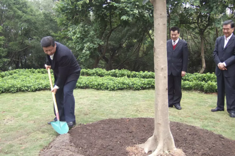 In this handout photo released by TaKungPao.com on December 10, 2012, China's Vice President Xi Jinping (L) plants a tree on Lianhua hill in Shenzhen, Guangdong province, December 8, 2012 (TaKungPao.com/Courtesy Reuters).