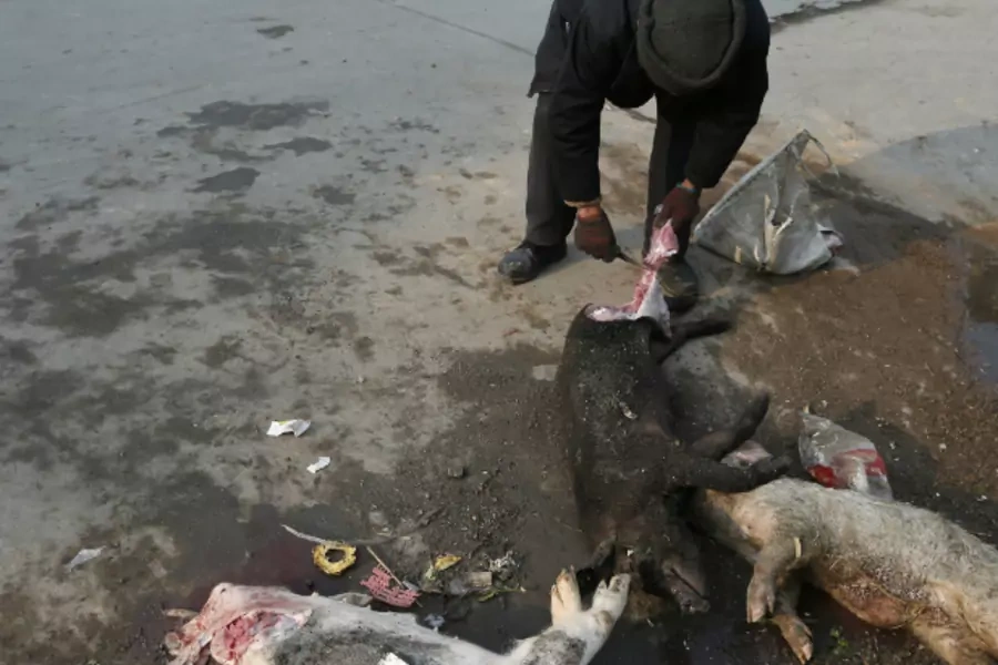 A villager cuts meat from a dead pig in the Zhulin village of Jiaxing March 12, 2013.