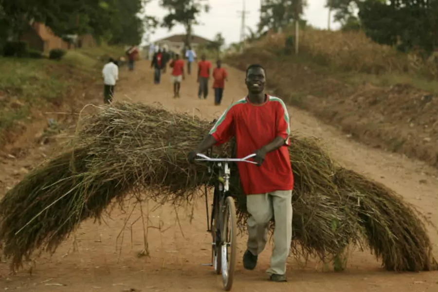 A man pushes his bicycle loaded with harvested grass in Mchinji, Malawi on April 21, 2008 (Siphiwe Sibeko/Courtesy Reuters).