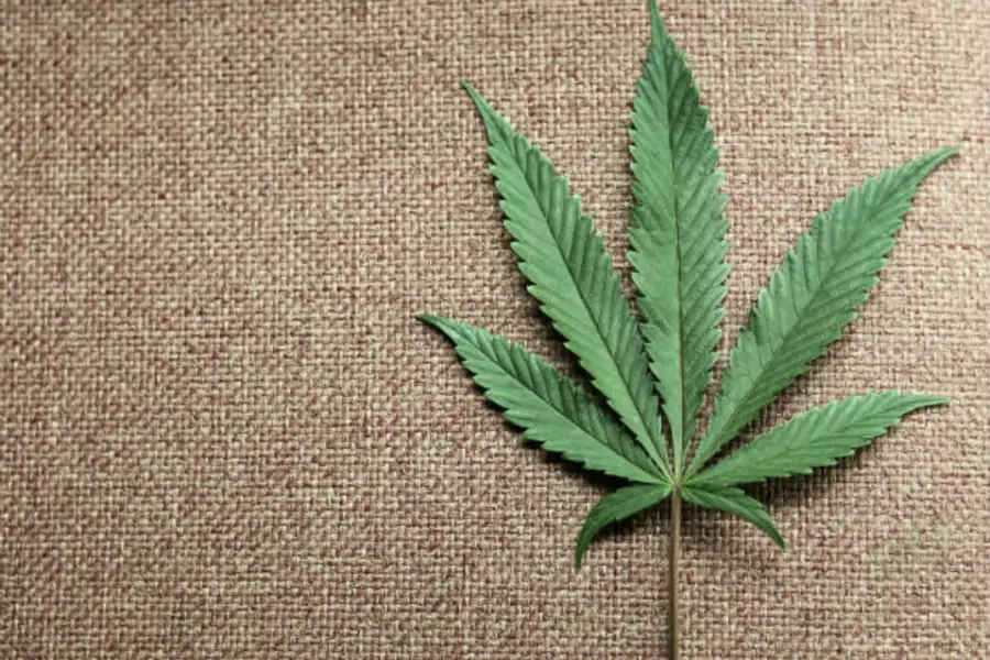 A marijuana leaf is displayed at Canna Pi medical marijuana dispensary in Seattle, Washington, November 27, 2012.