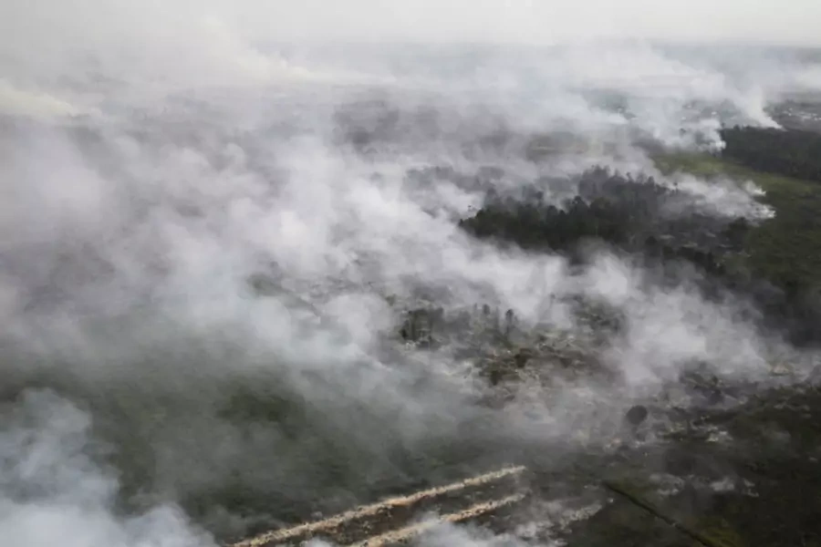An aerial view of burning lands in Palalawan district in Riau province June 21, 2013.