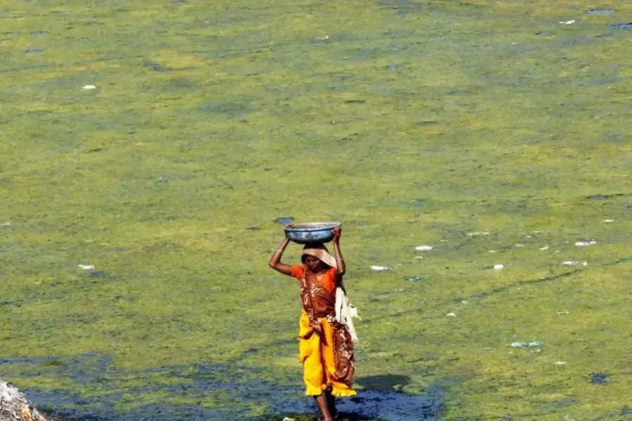 A woman carries water from the polluted Sabarmati river in Ahmedabad, India, May 2013 (Courtesy Reuters/Amit Dave).