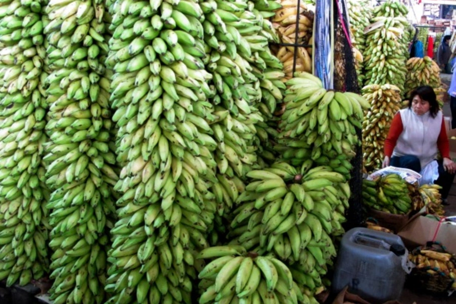 A seller sits near a stand of bananas in Lima, Peru, June 2010 (Courtesy Reuters/Mariana Bazo).