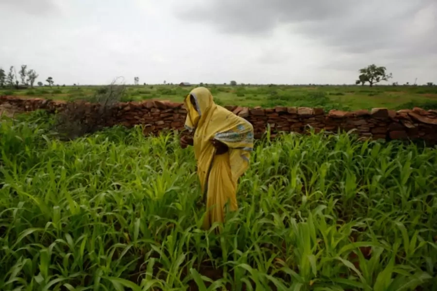 Child bride Krishna, 12, stands in a corn field behind her house , located in the northwestern state of Rajasthan, India, July 2011 (Courtesy Reuters/Danish Siddiqu).